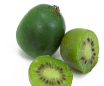 Predám kiwi – fotka 2